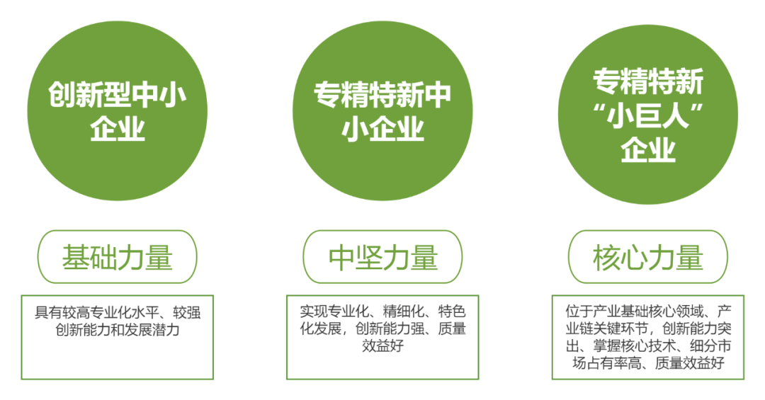 一文了解|“专精特新”中小企业如何认定?(图9) 一文了解|“专精特新”中小企业如何认定?(图9)