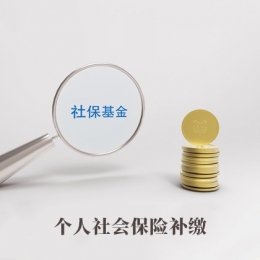 个人社会保险补缴