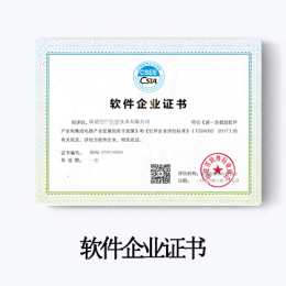软件企业评估